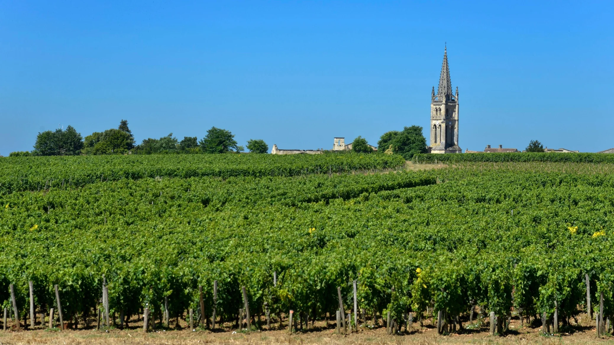 Vin Rouge Pomerol Grand Cru AOC (75cl) – laplanchetta83