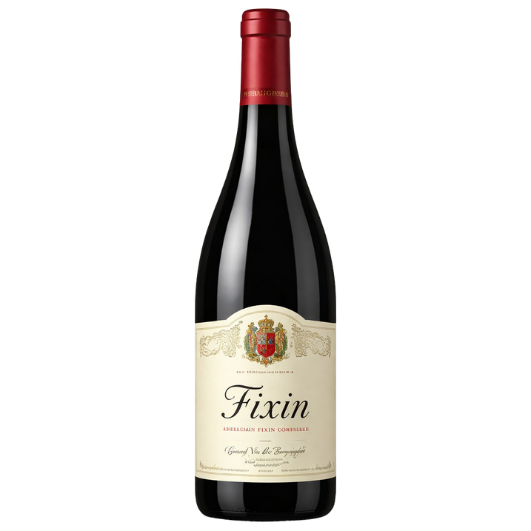 Domaine Michel Noellat & Fils - 2013 - Fixin AOC wine bottle 750 ml