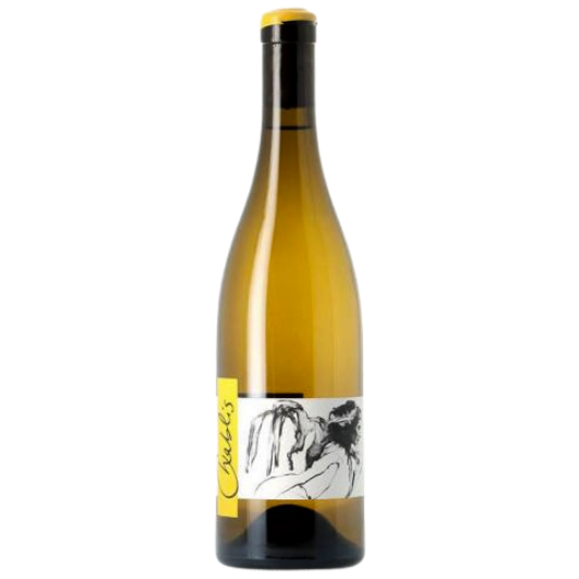 Thomas Pico, Domaine Pattes Loup - 2022 - Chablis AOC wine bottle 750 ml