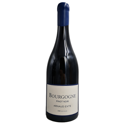 Domaine Arnaud Ente - 2018 - Bourgogne AOC wine bottle 750 ml
