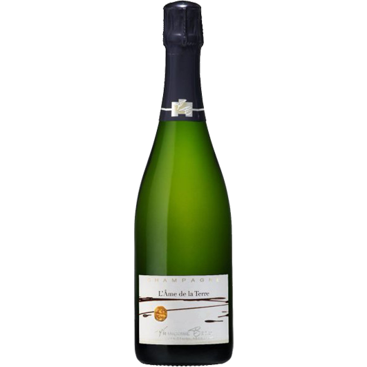 Champagne Françoise Bedel - Cuvée L'Ame de la Terre - Blanc - 2010 - Champagne Extra Brut